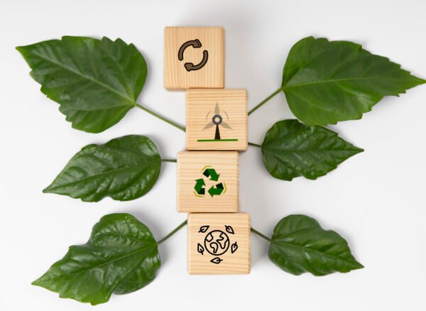 sustainable-development-goals-still-life